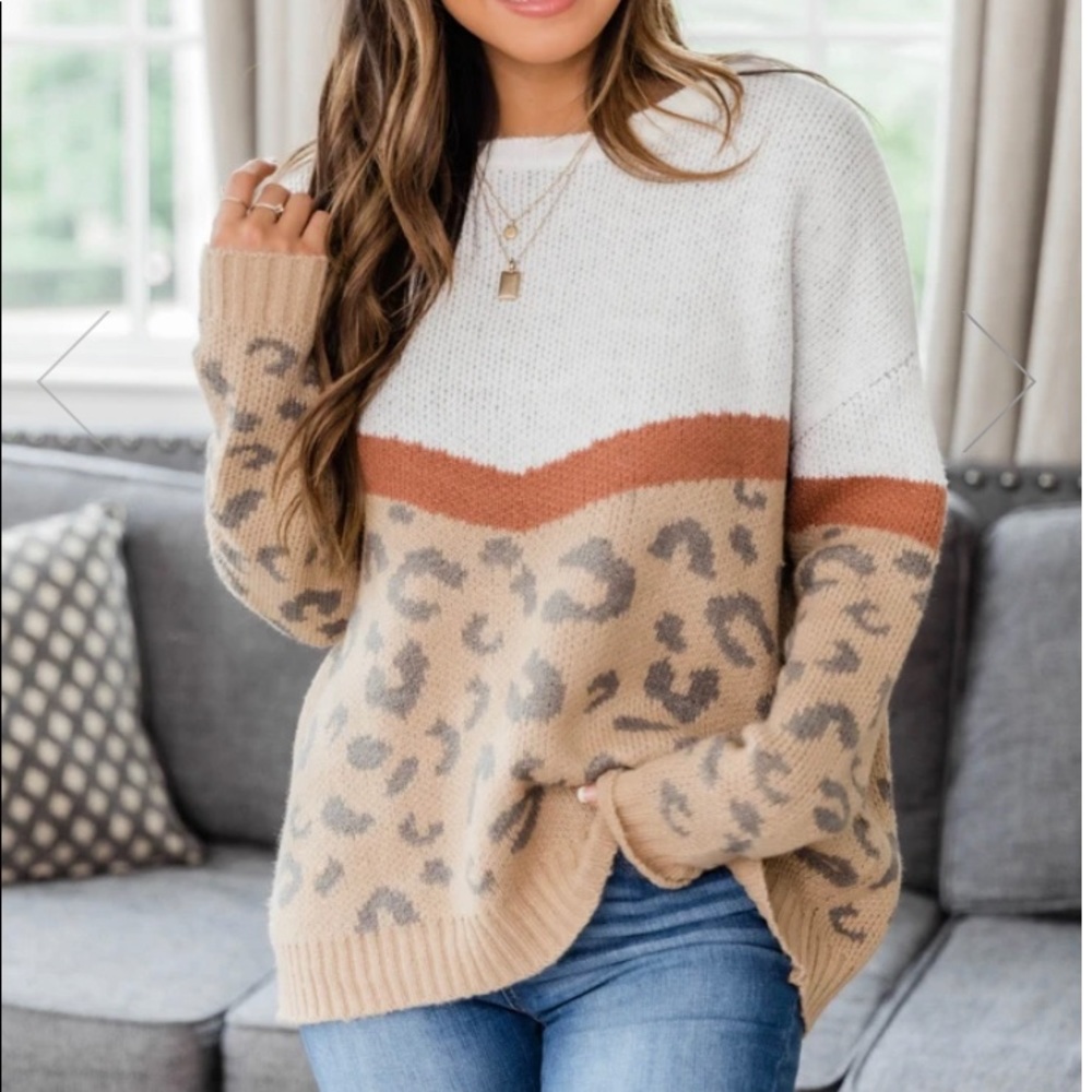 Pink Lily Boutique Cheetah sweater